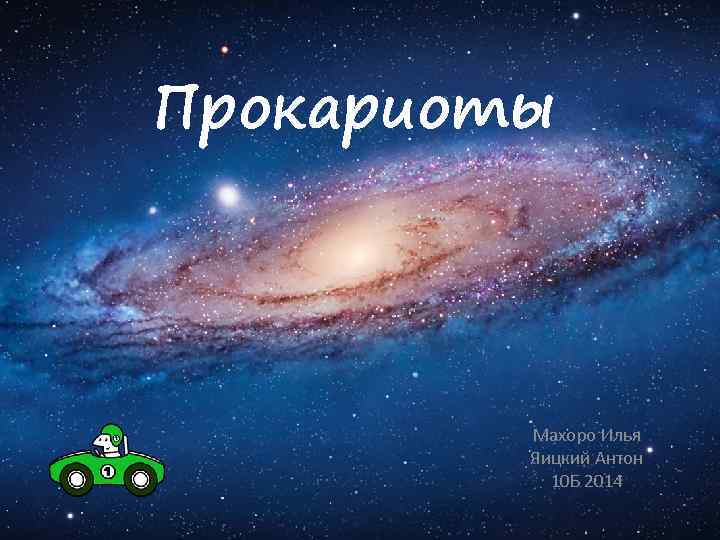 Прокариоты Махоро Илья Яицкий Антон 10 Б 2014 