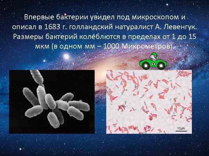 Бактерии можно увидеть