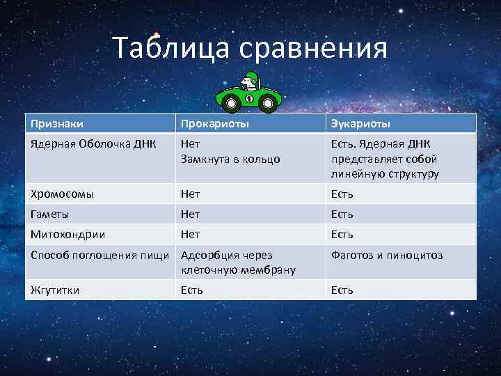 Таблица сравнения Признаки Прокариоты Эукариоты Ядерная Оболочка ДНК Нет Замкнута в кольцо Есть. Ядерная