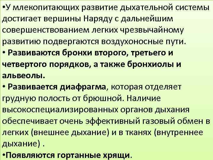  • У млекопитающих развитие дыхательной системы достигает вершины Наряду с дальнейшим совершенствованием легких