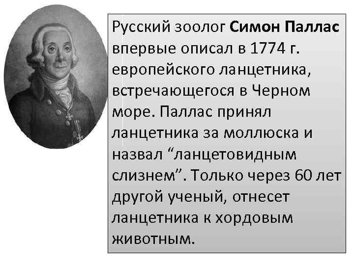 Русский зоолог Симон Паллас впервые описал в 1774 г. европейского ланцетника, встречающегося в Черном