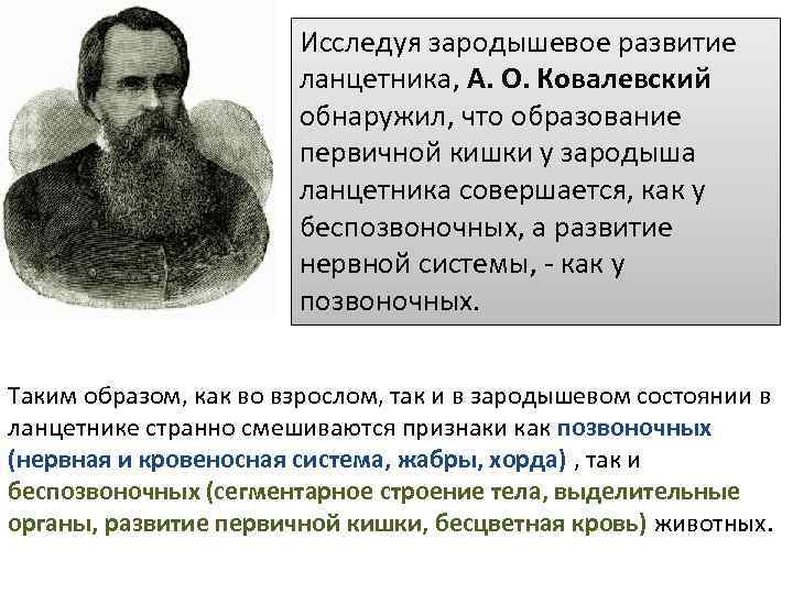 Исследуя зародышевое развитие ланцетника, А. О. Ковалевский обнаружил, что образование первичной кишки у зародыша