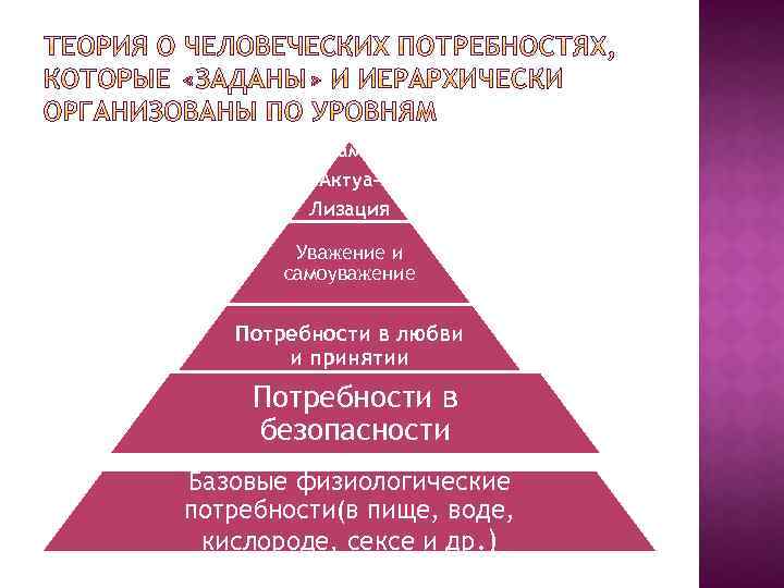 Укажите уровни уровневой классификации черт согласно г олпорту схема 1 уровень