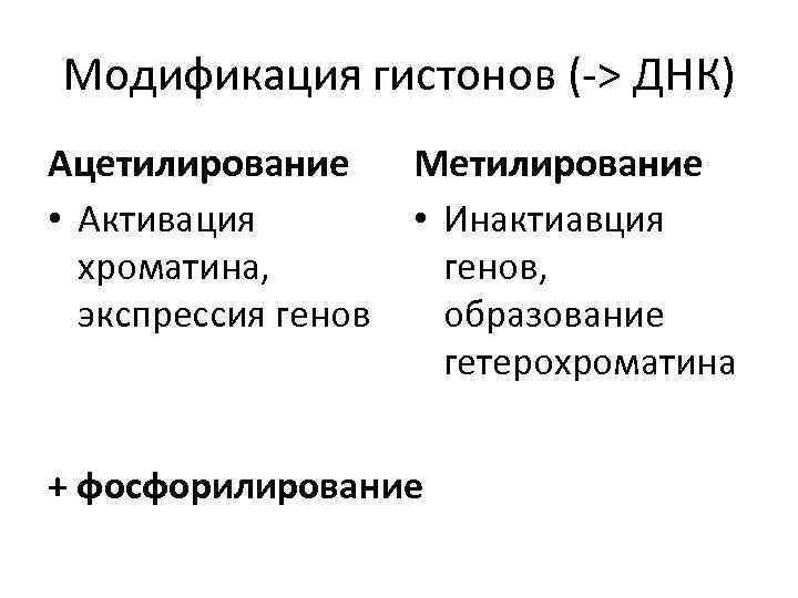 Модификация гистонов (-> ДНК) Ацетилирование • Активация хроматина, экспрессия генов Метилирование • Инактиавция генов,