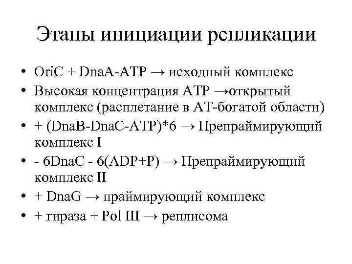 Этапы инициации репликации • Ori. C + Dna. A-ATP → исходный комплекс • Высокая