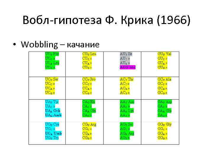 Вобл-гипотеза Ф. Крика (1966) • Wobbling – качание 