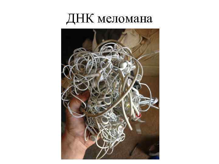 ДНК меломана 