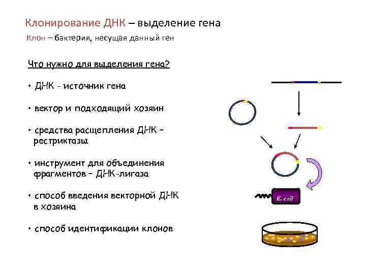 Клонирование голоса по образцу онлайн