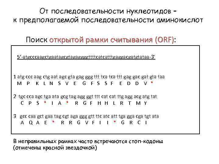 Рамка считывания. Открытые рамки считывания. Рамки считывания нуклеотидной последовательности. Рамка считывания генетического кода. Открытая рамка считывания (ORF).