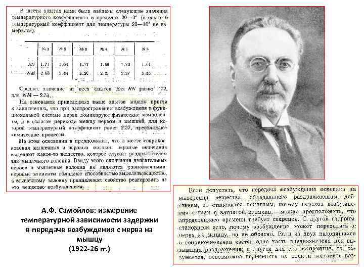 А. Ф. Самойлов: измерение температурной зависимости задержки в передаче возбуждения с нерва на мышцу