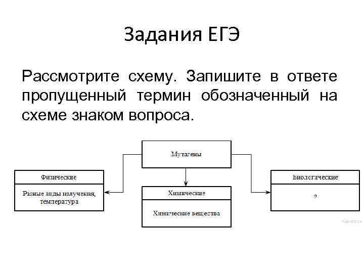 Рассмотрите предложенную схему запишите в ответе