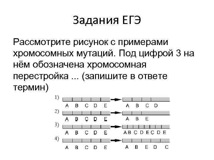 Задания ЕГЭ Рассмотрите рисунок с примерами хромосомных мутаций. Под цифрой 3 на нём обозначена