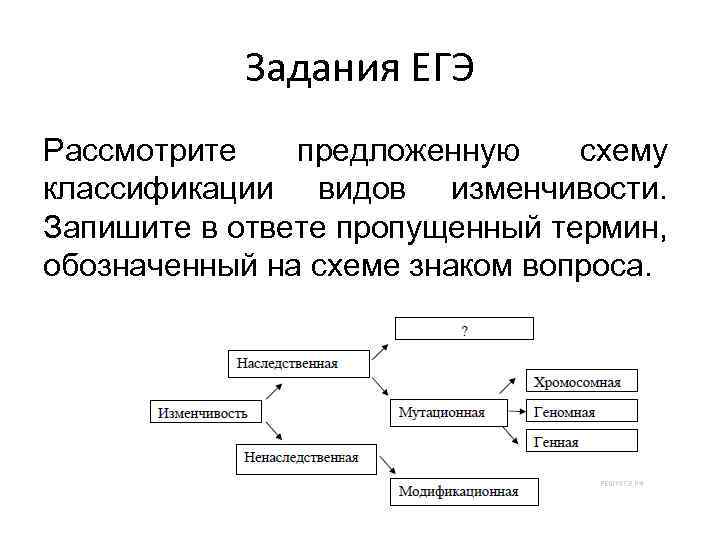 Пропущенный термин