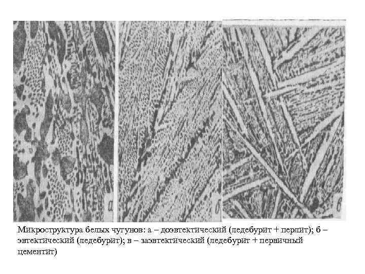 Микроструктура белых чугунов: а – доэвтектический (ледебурит + перлит); б – эвтектический (ледебурит); в