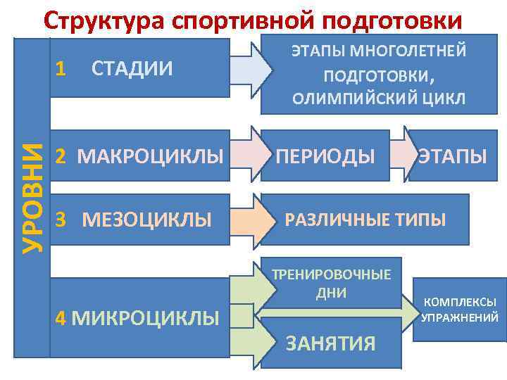 Структура спортивной подготовки УРОВНИ 1 СТАДИИ 2 МАКРОЦИКЛЫ 3 МЕЗОЦИКЛЫ ЭТАПЫ МНОГОЛЕТНЕЙ ПОДГОТОВКИ, ОЛИМПИЙСКИЙ