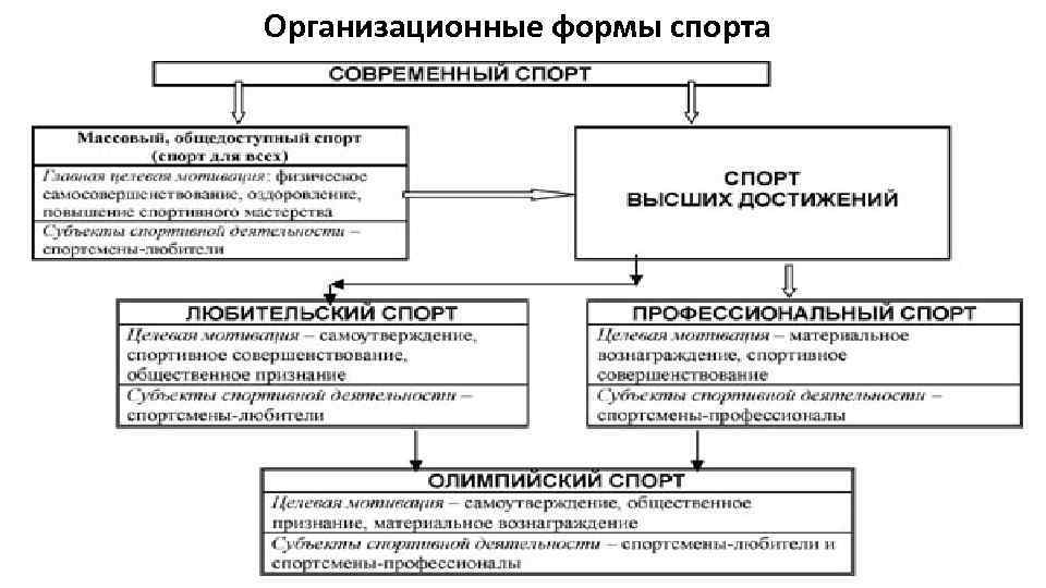 Организационные формы спорта 