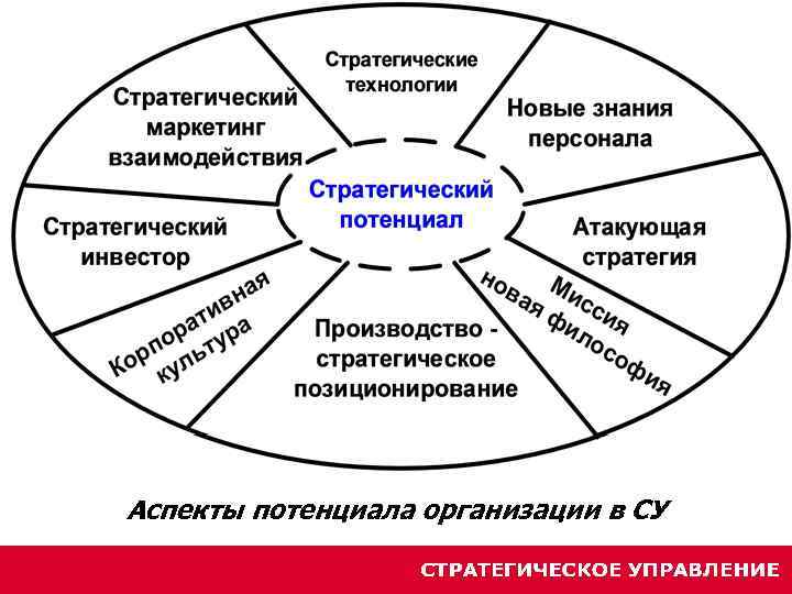 Аспекты потенциала организации в СУ 