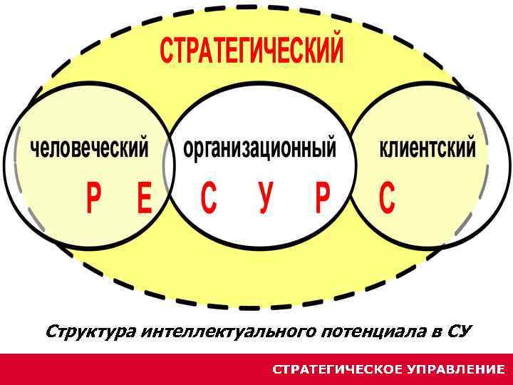 Структура интеллектуального потенциала в СУ 