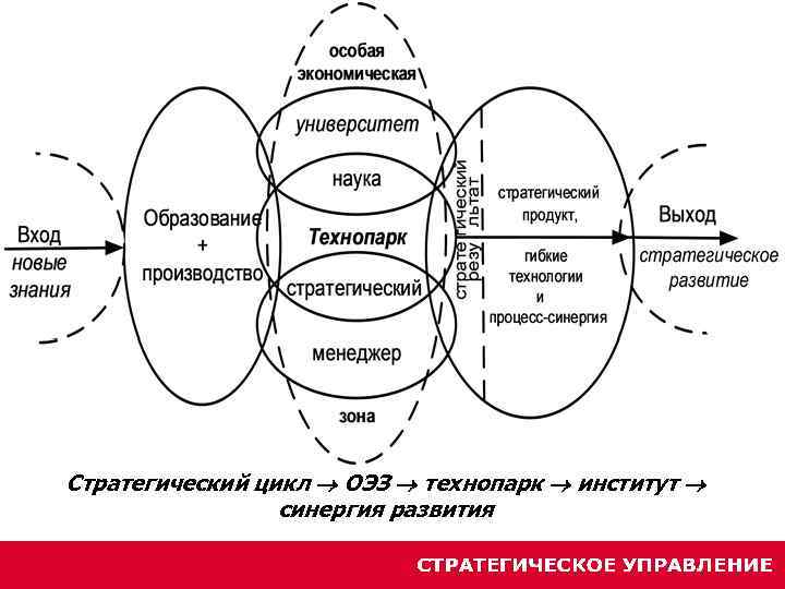 Стратегический цикл ОЭЗ технопарк институт синергия развития 