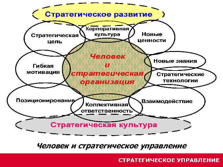 Человек и стратегическое управление 