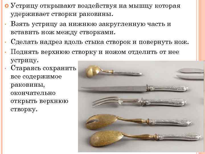  • • Устрицу открывают воздействуя на мышцу которая удерживает створки раковины. Взять устрицу