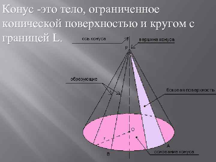 Стадия зеленого конуса как выглядит фото