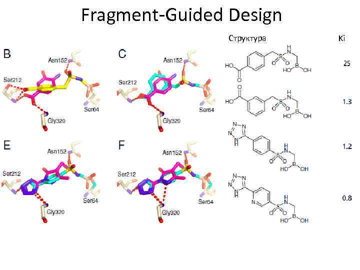 Fragment-Guided Design Структура Ki 