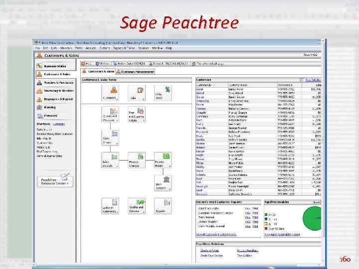 Sage Peachtree 160 