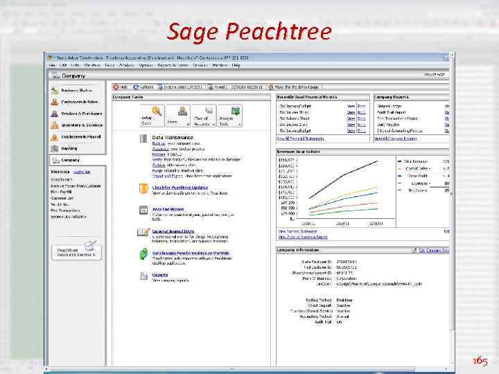 Sage Peachtree 165 