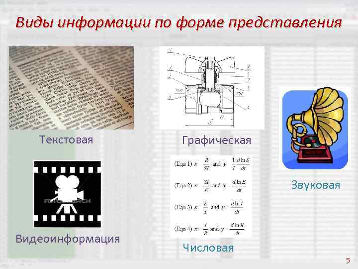 Виды информации по форме представления Текстовая Графическая Звуковая Видеоинформация Числовая 5 