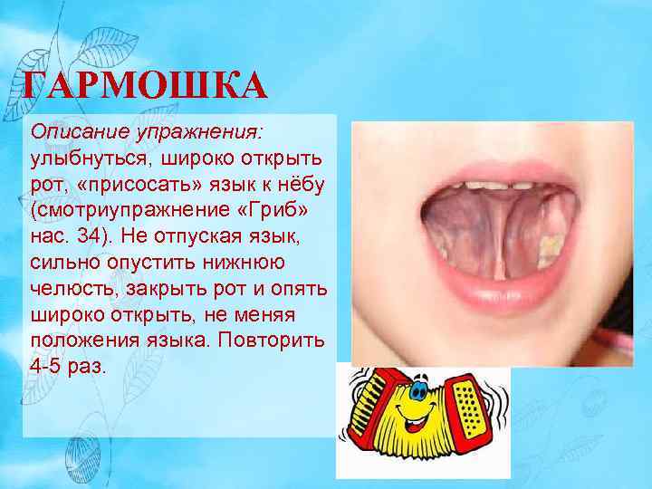 ГАРМОШКА Описание упражнения: улыбнуться, широко открыть рот, «присосать» язык к нёбу (смотриупражнение «Гриб» нас.