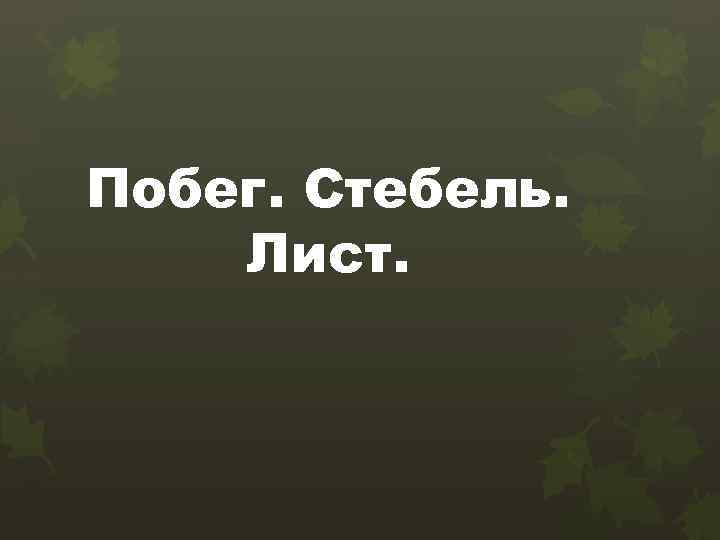 Побег. Стебель. Лист. 