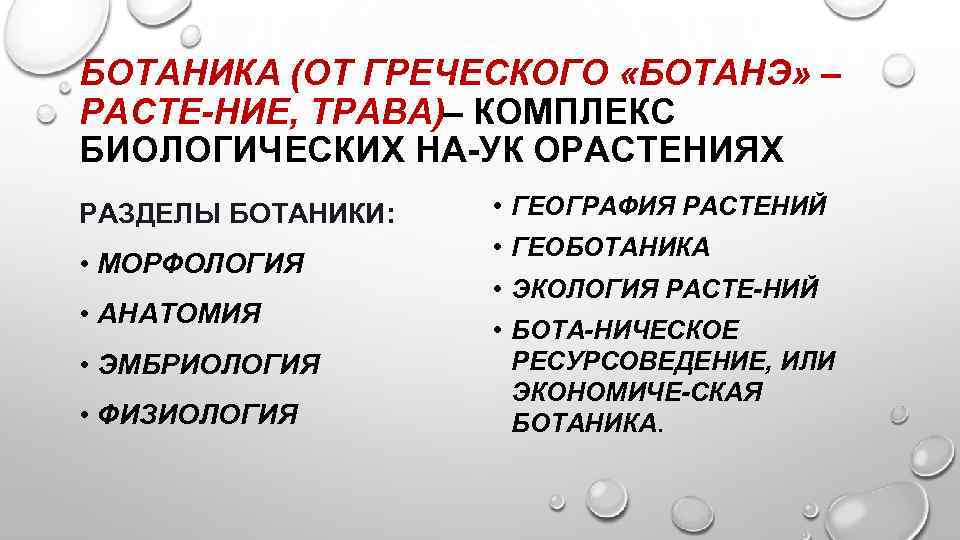 БОТАНИКА (ОТ ГРЕЧЕСКОГО «БОТАНЭ» – РАСТЕ НИЕ, ТРАВА)– КОМПЛЕКС БИОЛОГИЧЕСКИХ НА УК ОРАСТЕНИЯХ РАЗДЕЛЫ