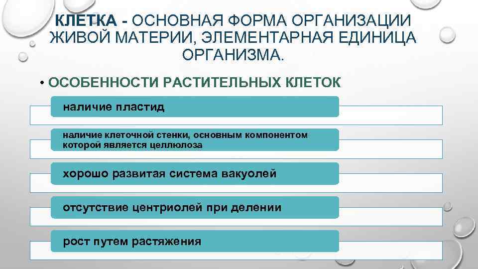 КЛЕТКА ОСНОВНАЯ ФОРМА ОРГАНИЗАЦИИ ЖИВОЙ МАТЕРИИ, ЭЛЕМЕНТАРНАЯ ЕДИНИЦА ОРГАНИЗМА. • ОСОБЕННОСТИ РАСТИТЕЛЬНЫХ КЛЕТОК наличие