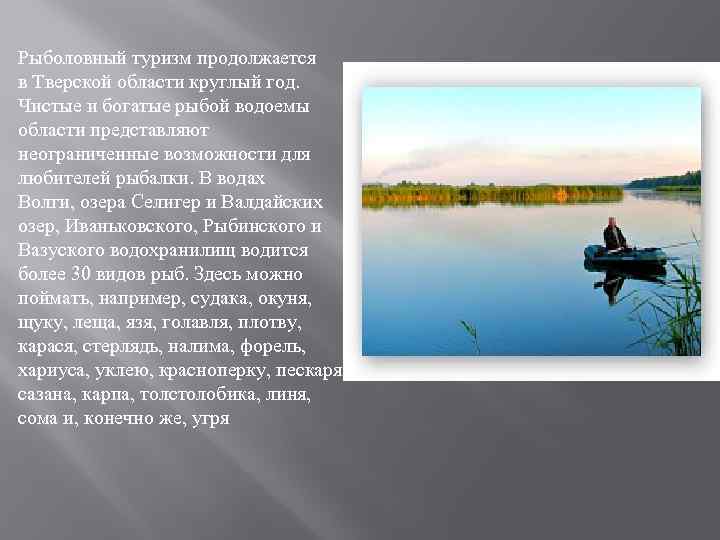 Рыболовный туризм продолжается в Тверской области круглый год. Чистые и богатые рыбой водоемы области