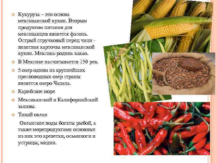 Технологическая карта мексиканской кухни