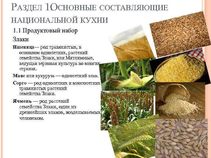 РАЗДЕЛ 1. СНОВНЫЕ СОСТАВЛЯЮЩИЕ О НАЦИОНАЛЬНОЙ КУХНИ 1. 1 Продуктовый набор Злаки Пшеница— род
