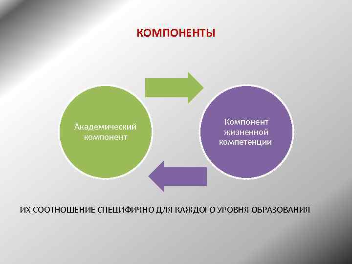 КОМПОНЕНТЫ Академический компонент Компонент жизненной компетенции ИХ СООТНОШЕНИЕ СПЕЦИФИЧНО ДЛЯ КАЖДОГО УРОВНЯ ОБРАЗОВАНИЯ 