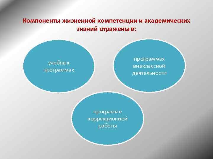 Компоненты жизненной компетенции и академических знаний отражены в: программах внеклассной деятельности учебных программах программе