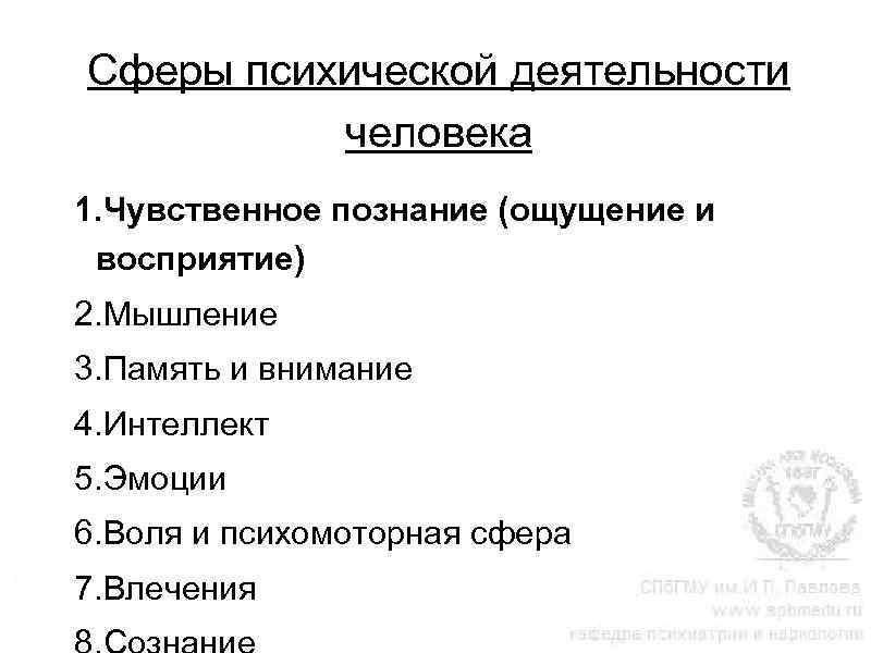 Сферы психической деятельности человека 1. Чувственное познание (ощущение и восприятие) 2. Мышление 3. Память