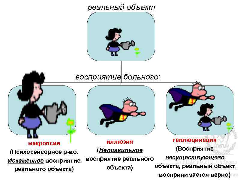 реальный объект восприятие больного: галлюцинация иллюзия макропсия (Восприятие (Неправильное (Психосенсорное р-во. несуществующего Искаженное восприятие