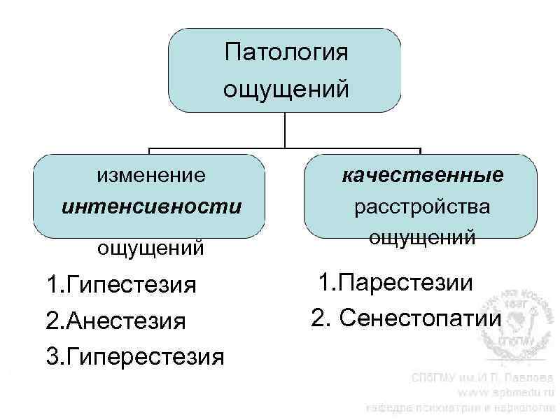 Гиперестезия в психиатрии