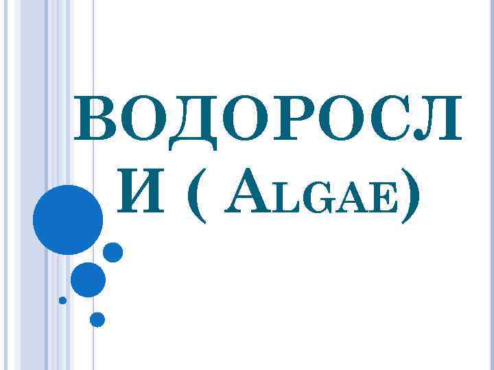 ВОДОРОСЛ И ( ALGAE) 