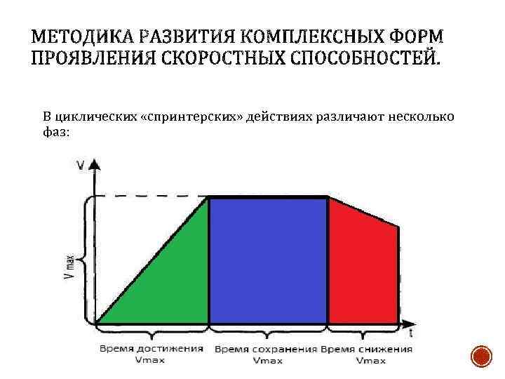 В циклических «спринтерских» действиях различают несколько фаз: 