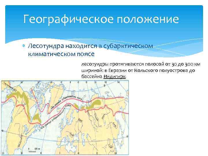 Географическое положение Лесотундра находится в субарктическом климатическом поясе лесотундры протягиваются полосой от 30 до