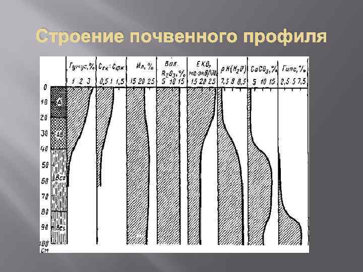 Строение почвенного профиля 