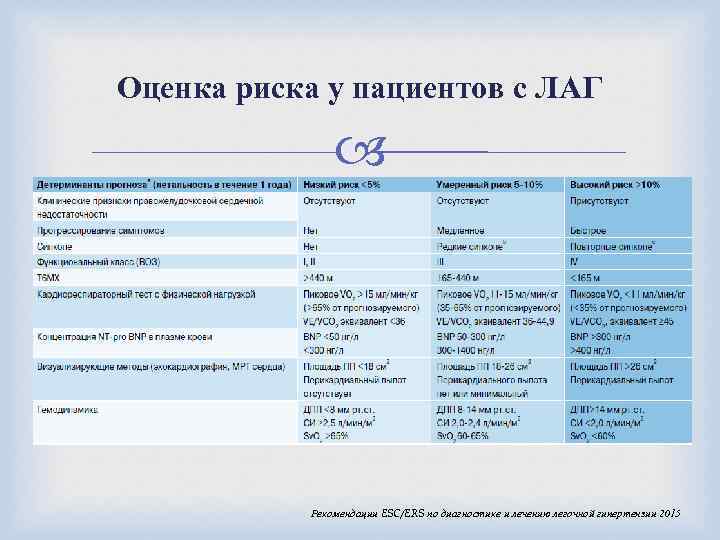 Оценка риска у пациентов с ЛАГ Рекомендации ESC/ERS по диагностике и лечению легочной гипертензии