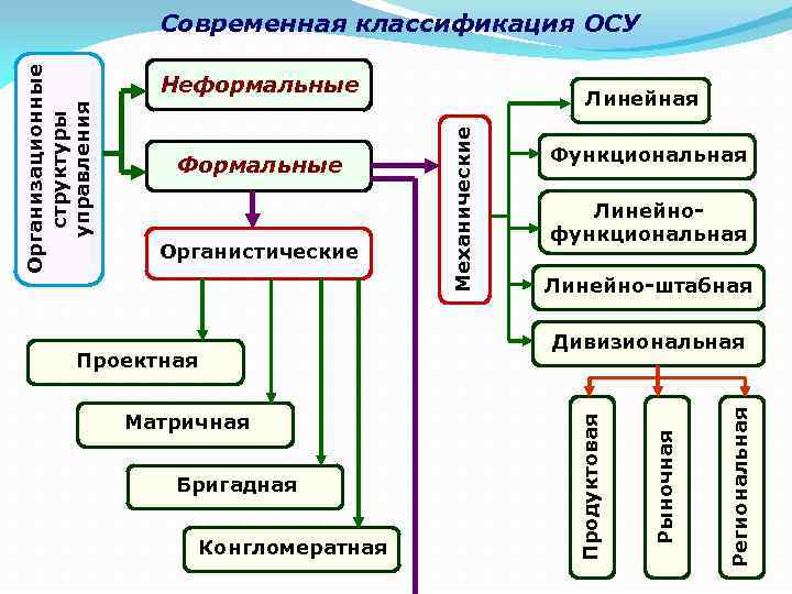 Неформальные Формальные Органистические Линейная Механические Функциональная Линейнофункциональная Линейно-штабная Матричная Бригадная Конгломератная Региональная Проектная Рыночная