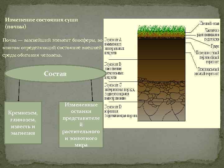 изменение состава почвы