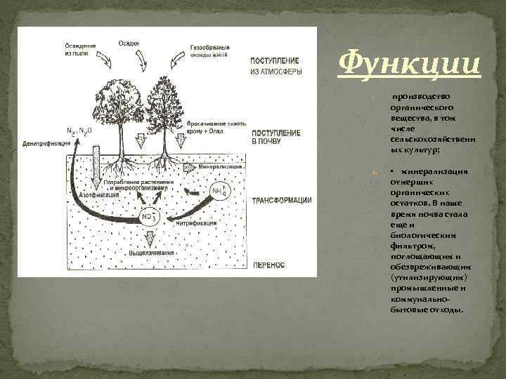 Схема минерализации органических веществ в воде